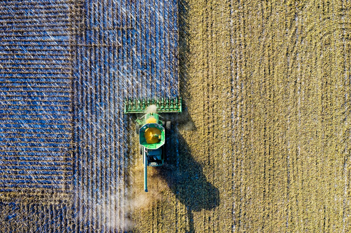 Modern Harvesting