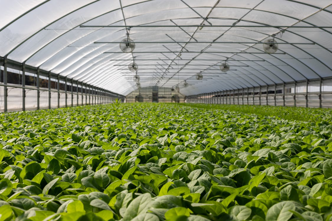 Controlled Environment